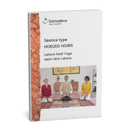 Streaming "Nadi Yoga Séance-type Noeuds noirs" Idris Lahore, Approche Psycho-corporelle