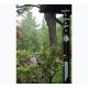 Cloche Feng Shui Furin Libellule Tierra Zen