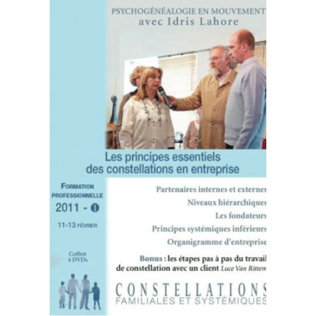 Les principes essentiels des constellations en entreprise