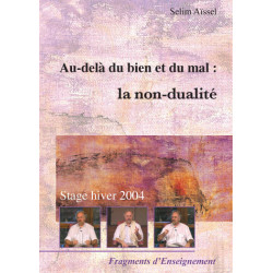DVD - Au-delà du bien et du mal : la non-dualité