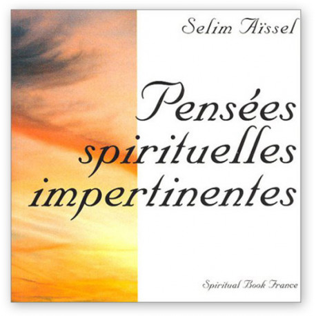 Pensées spirituelles impertinentes