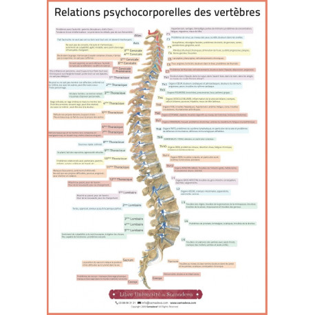 Affiche relations psycho-corporelles des vertèbres