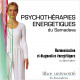 MP3 "Méditation Euphonique d'Harmonisation Énergétique" (MEHE) Idris Lahore