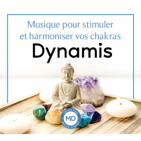 MP3 "Séance type DYNAMIS Chakras Yoga de Samara"