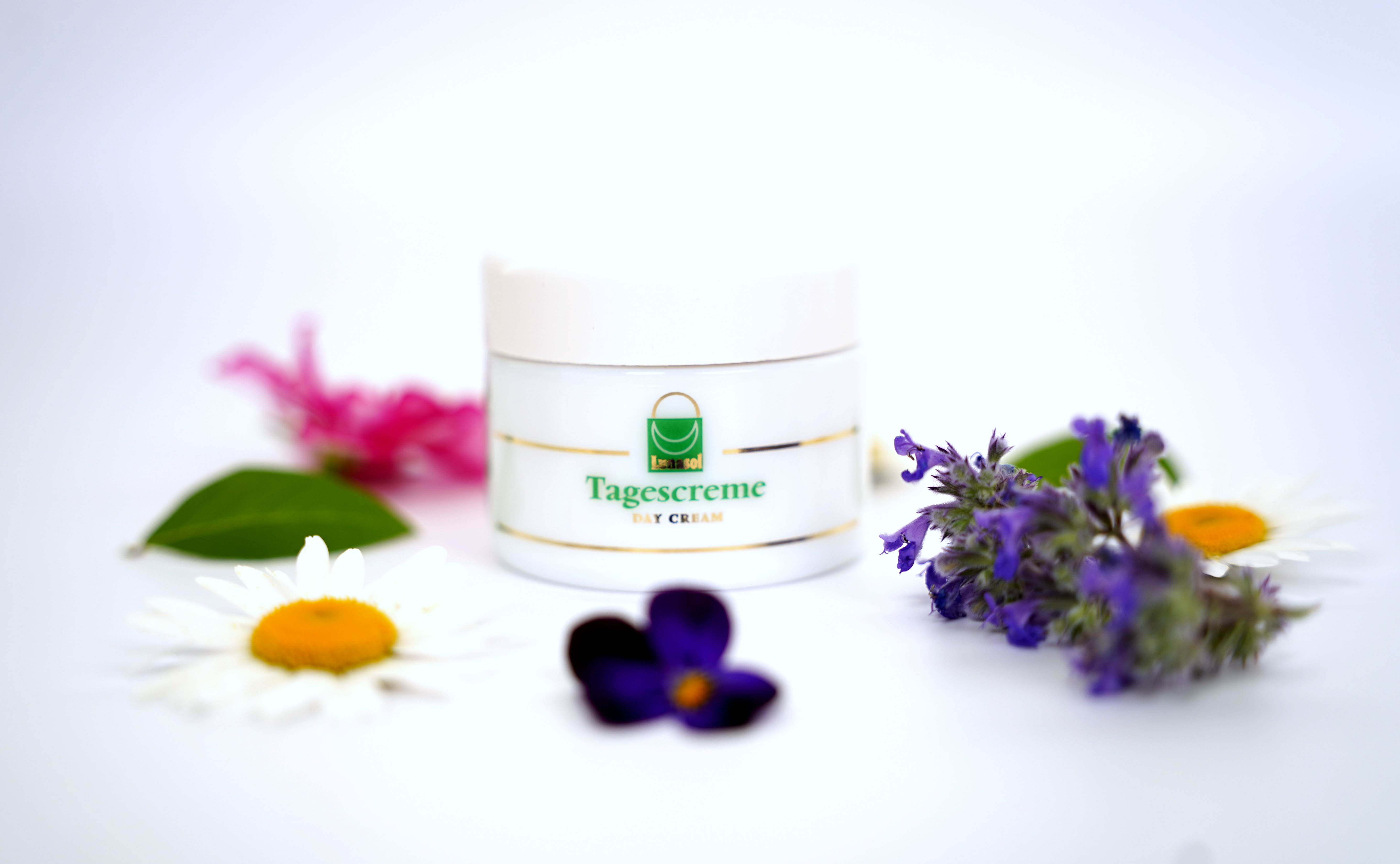 Samashop et L'Ermitage, au cœur de la nature